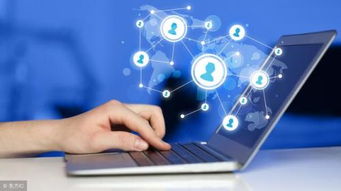 互联网高利润项目聚焦 网络技术服务的前景与方向